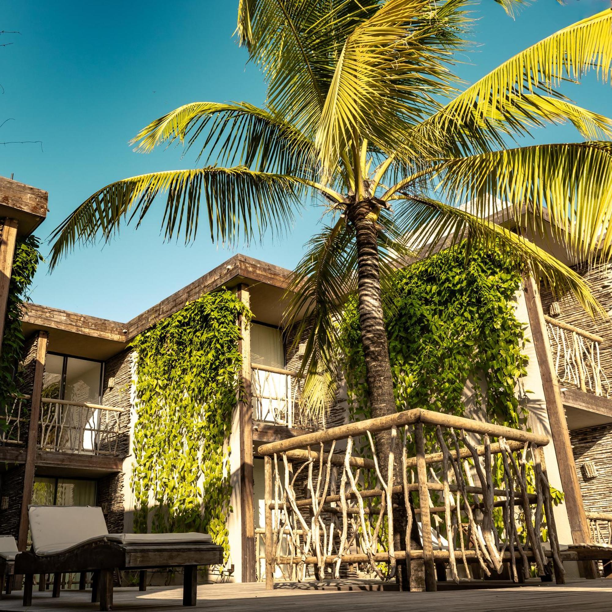 Apenunga Eco Hotel จีโจกา จี เจรีกวากวารา ภายนอก รูปภาพ